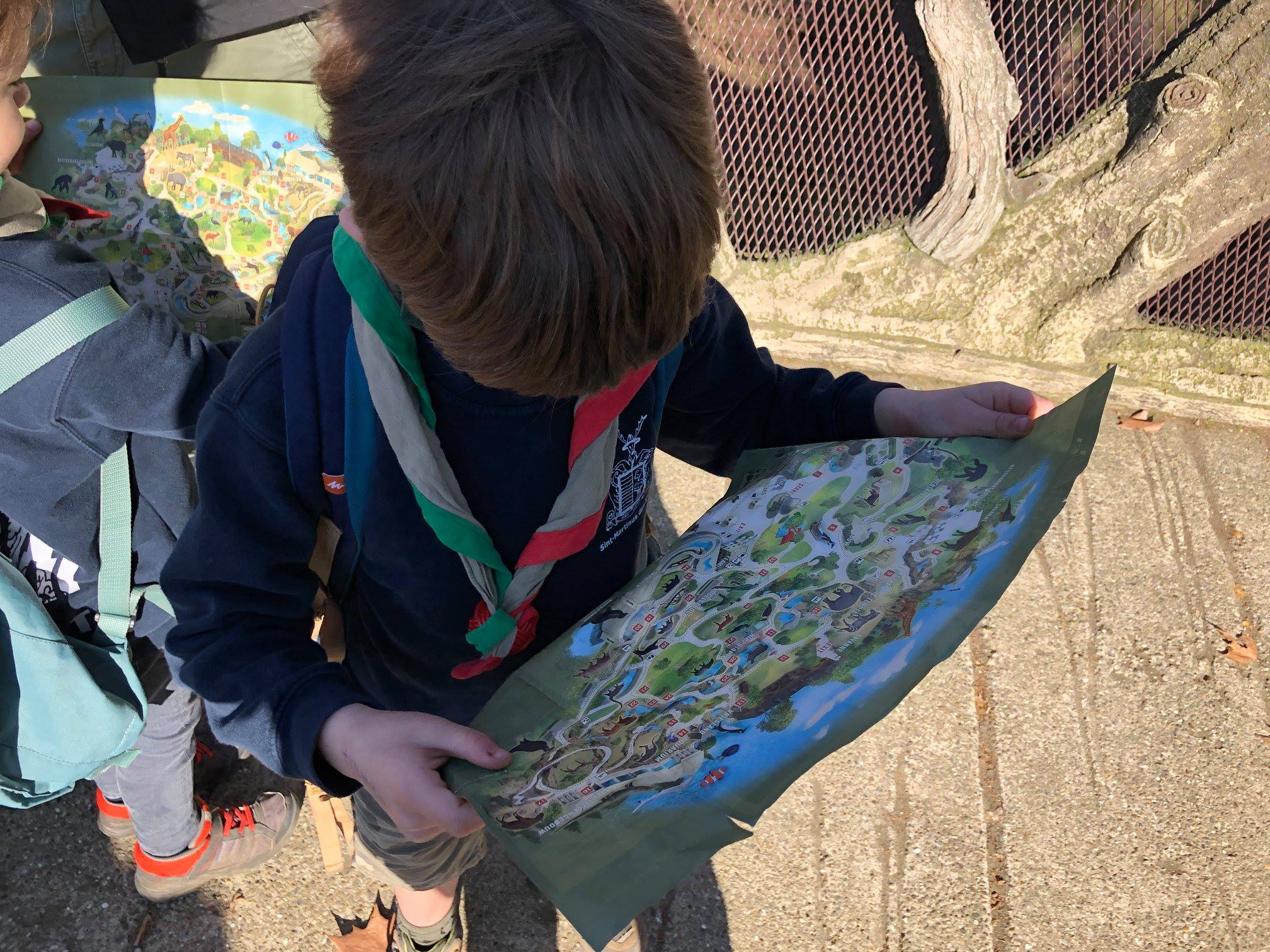 Sint-Martinus den XIIde - Zoo Antwerpen Kapoenen